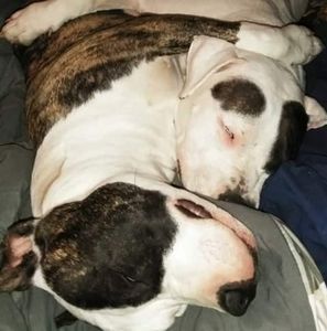 Meet your Posher, Patrick